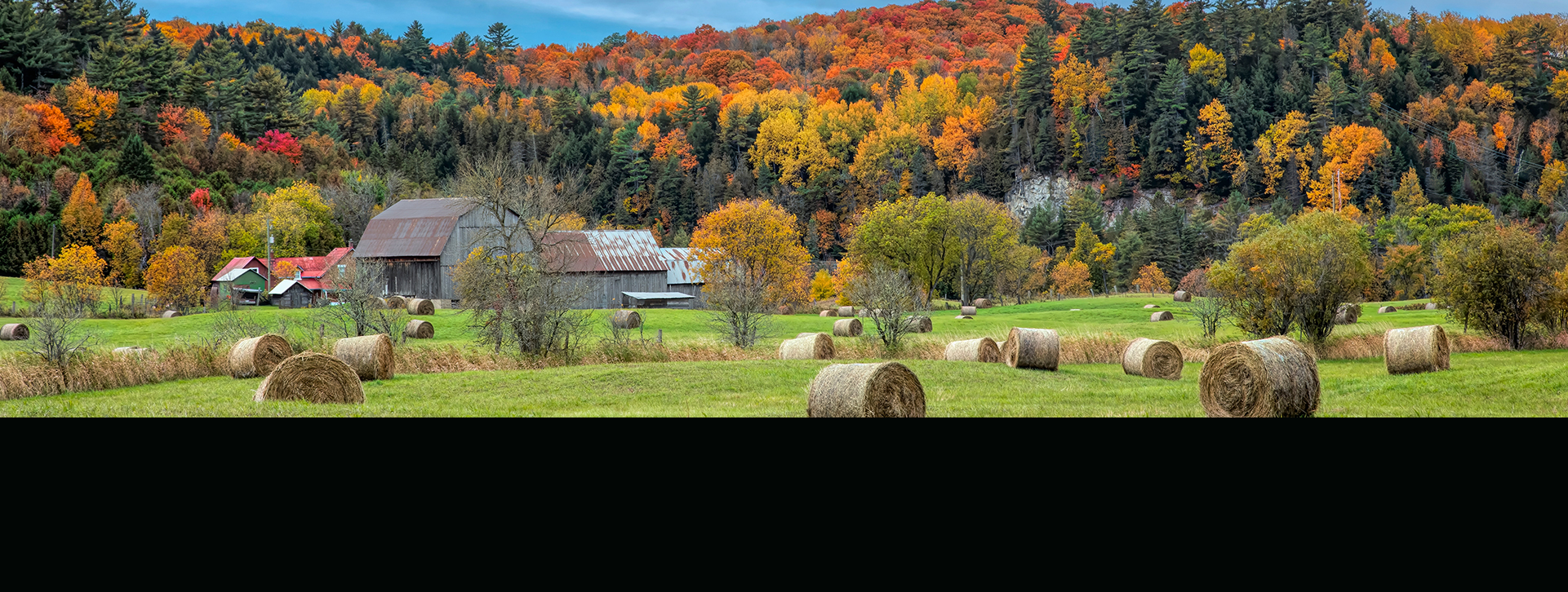 ya location chelsea title img