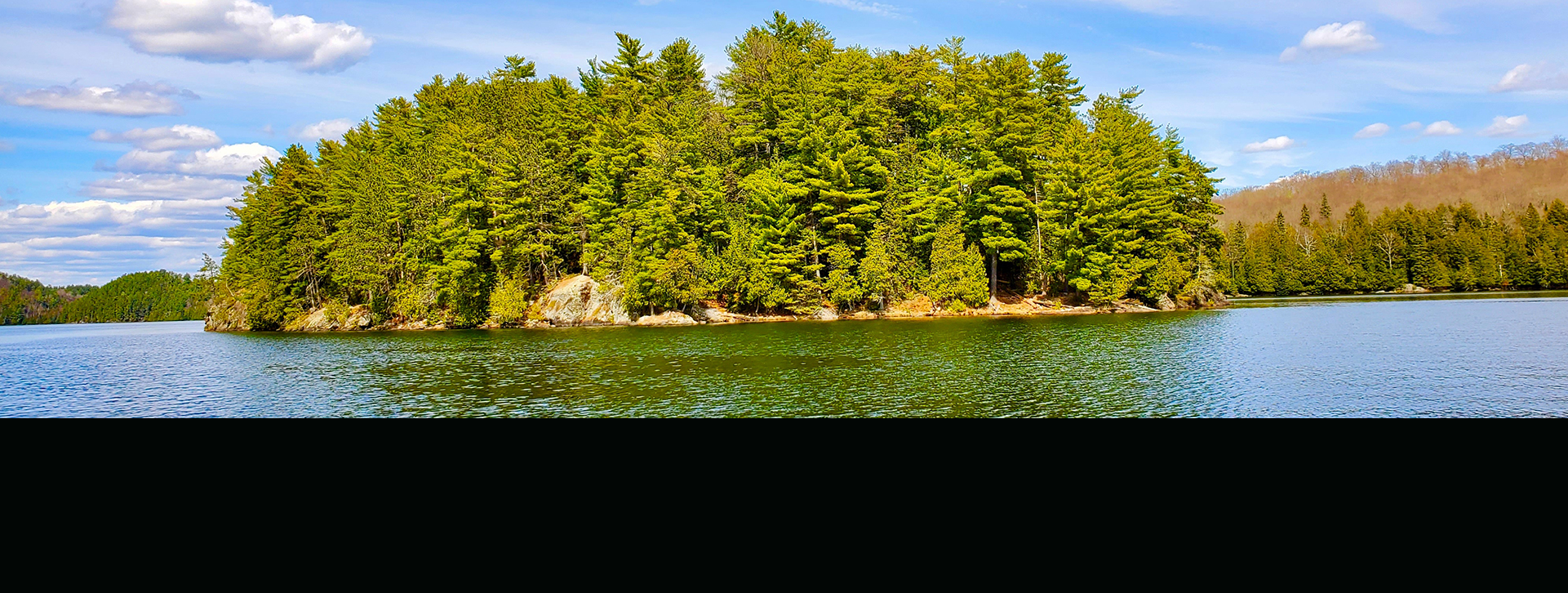 ya location gracefield title img