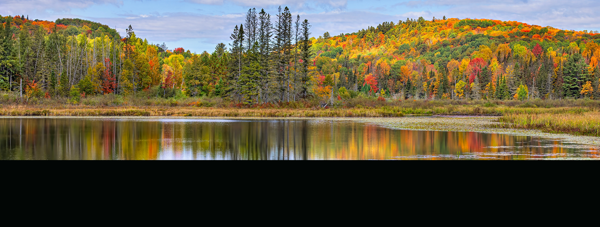 ya location thorne title img